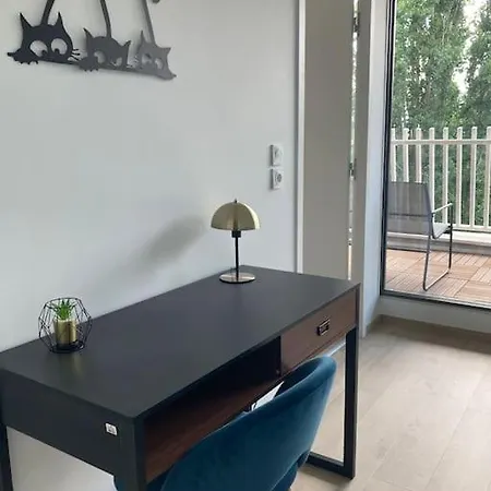 Apartament F2 Neuf Cosy Et Elegant Avec Terrasse, Parking, Wifi Chamalières