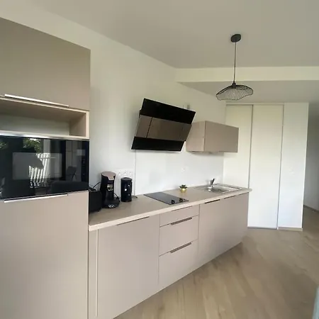 Apartament F2 Neuf Cosy Et Elegant Avec Terrasse, Parking, Wifi