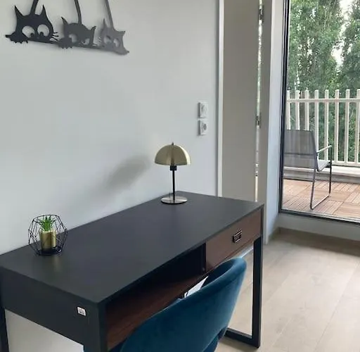 Appartement F2 Neuf Cosy Et Elegant Avec Terrasse, Parking, Wifi Chamalières
