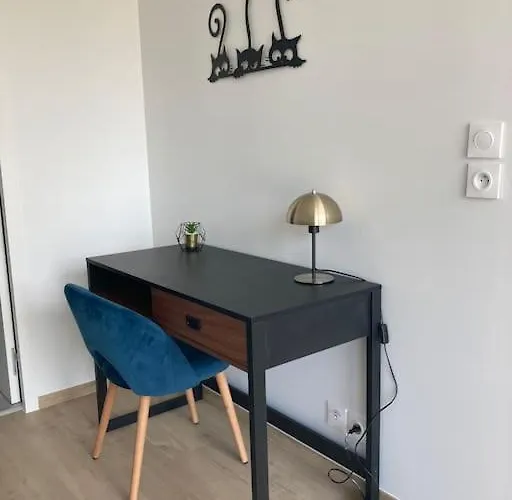 Appartement F2 Neuf Cosy Et Elegant Avec Terrasse, Parking, Wifi Chamalières